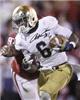 Signed Theo Riddick Notre Dame Fighting Irish