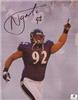 Signed Haloti Ngata