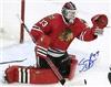 Scott Darling autographed