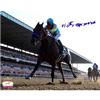 Victor Espinoza & American Pharoah autographed