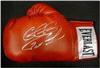 Gennady Golovkin autographed