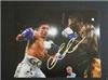 Gennady Golovkin autographed