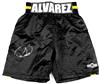 Canelo Alvarez autographed