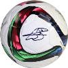 Gareth Bale autographed