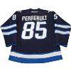 Mathieu Perreault autographed