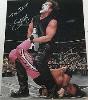 Sting & Bret Hart autographed