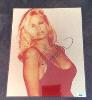 Pamela Anderson autographed