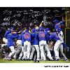 Signed 2016 Chicago Cubs