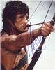 Sylvester Stallone autographed