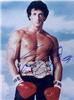 Sylvester Stallone autographed