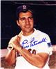 Rico Petrocelli autographed