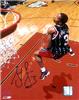 Steve Francis autographed